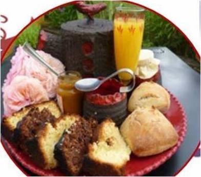Le Nid Perche Bed & Breakfast Saint-Sauveur-en-Puisaye Ngoại thất bức ảnh